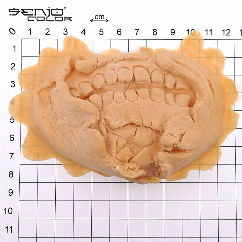Latex zombie chin with teeth bar size overview