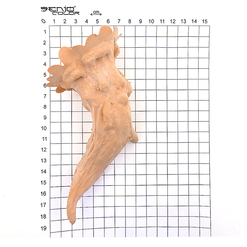 Deer horns size view 1