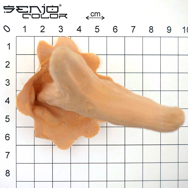 Deer horns latex application size chart 2