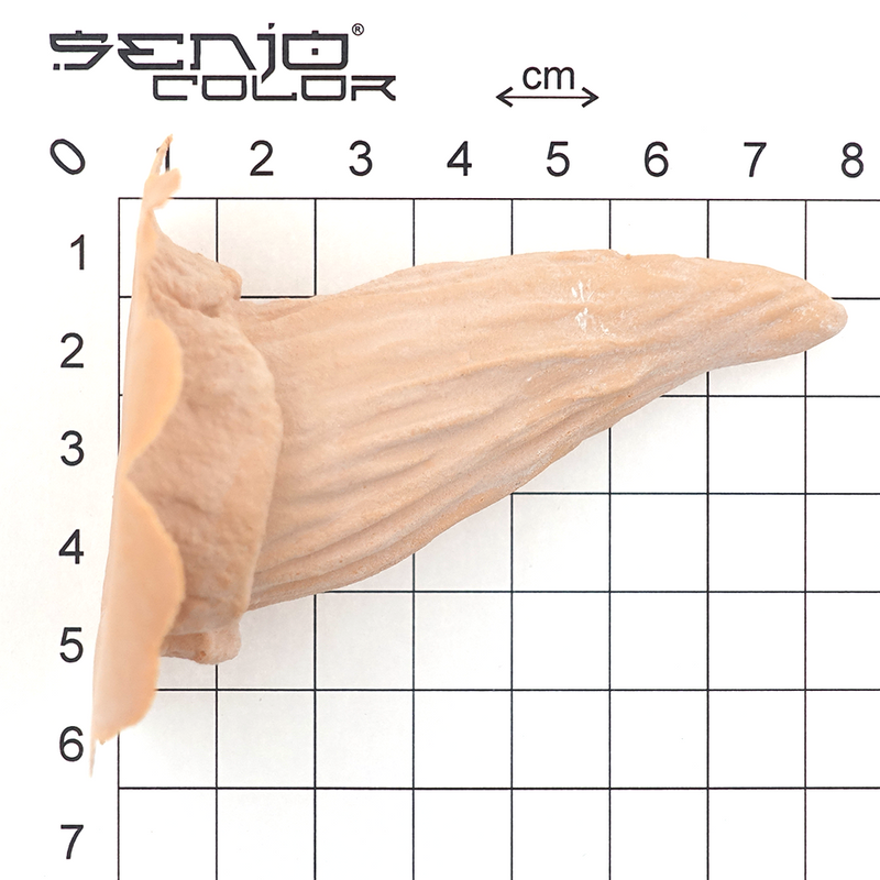 Rinden Hörner Latex Applikation Maße von der Seite