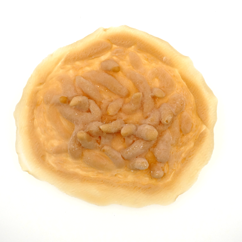 Maggot wound latex application