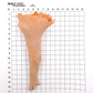 Aesthetic nose size overview
