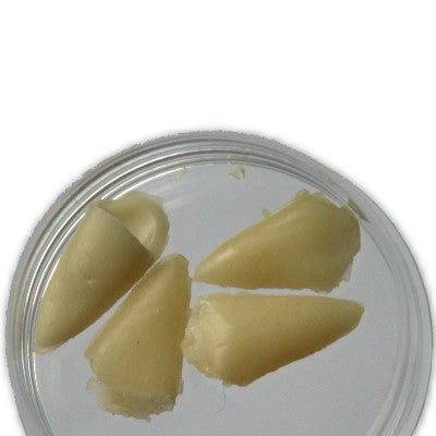 Gelatine Vampir EckZähne