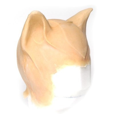 Cats hood latex application oblique front