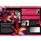 Airbrush Step by Step  Magazine - 04/2012 2