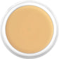 Kryolan Dermacolor Camouflage Cream 30g Dose - D2
