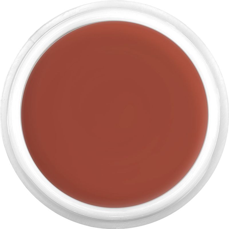 Kryolan Dermacolor Camouflage Cream 30g Dose - D31