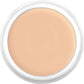 Kryolan Dermacolor Camouflage Cream 30g Dose - D2W