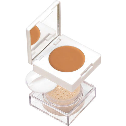 Kryolan Dermacolor Camouflage Make Up Twin Set D5 P11