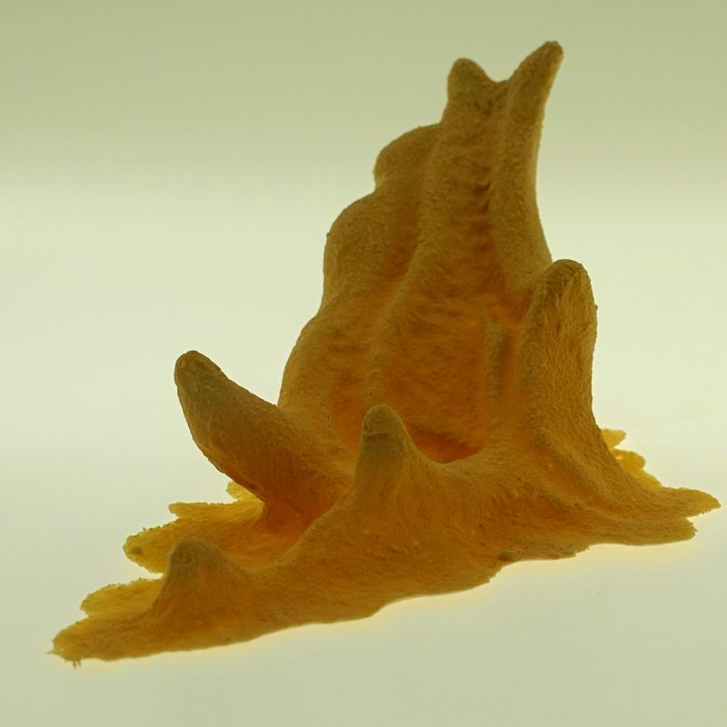 Drachen Ohr Latex Applikation