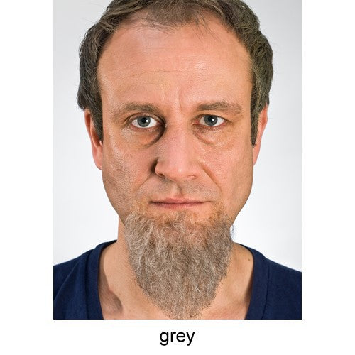 Chin beard pointed gray