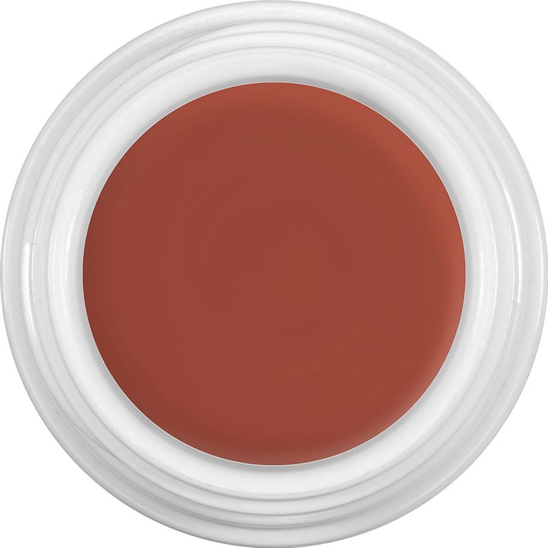 Kryolan Dermacolor Camouflage Cream 4g Tin - D31