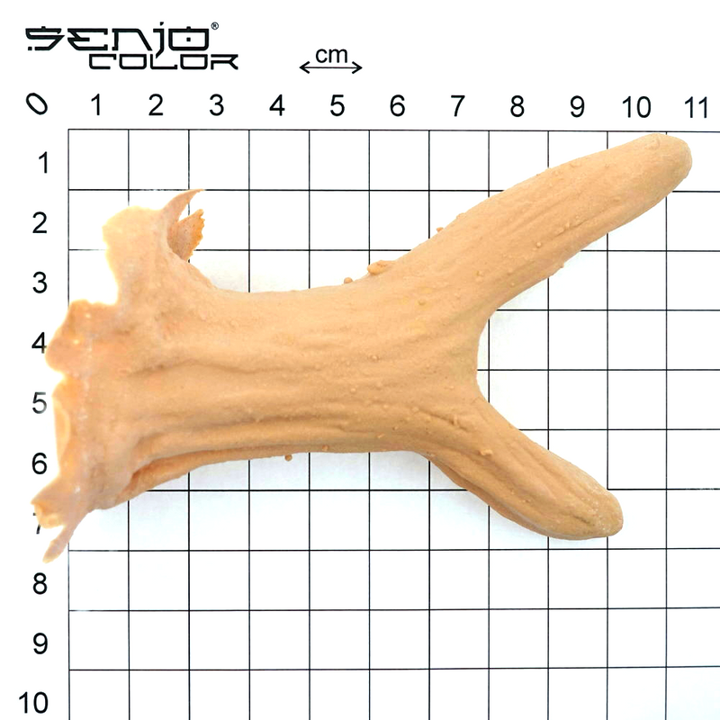 Deer horns latex application size overview 1