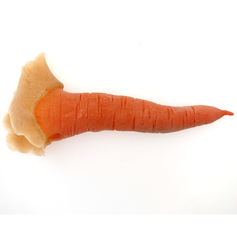 Karotten Nase Latex Applikation koloriert