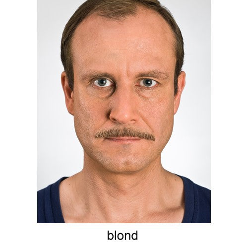 Schnurrbart blond