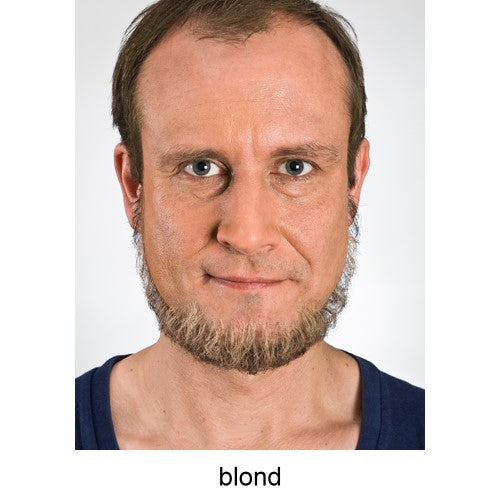 Vollbart kantig blond