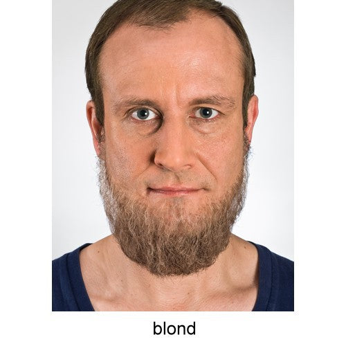 Vollbart blond