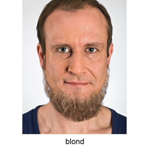 Vollbart blond