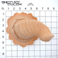 Bitch squirrel size overview
